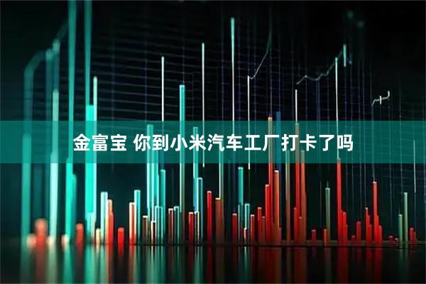 金富宝 你到小米汽车工厂打卡了吗