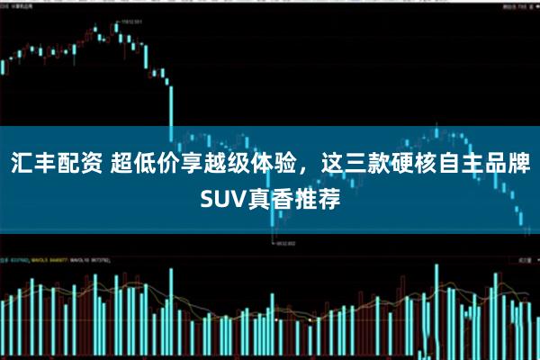 汇丰配资 超低价享越级体验，这三款硬核自主品牌SUV真香推荐