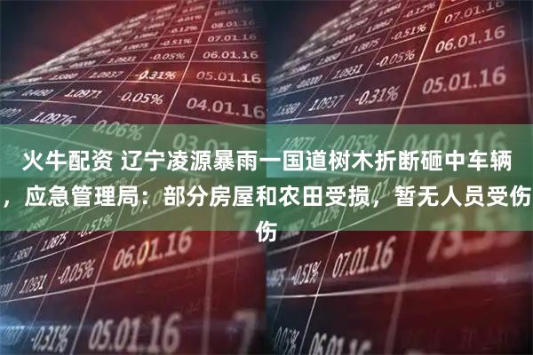 火牛配资 辽宁凌源暴雨一国道树木折断砸中车辆，应急管理局：部分房屋和农田受损，暂无人员受伤