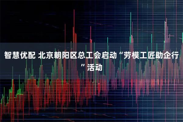 智慧优配 北京朝阳区总工会启动“劳模工匠助企行”活动