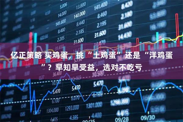 亿正策略 买鸡蛋，挑 “土鸡蛋” 还是 “洋鸡蛋”？早知早受益，选对不吃亏