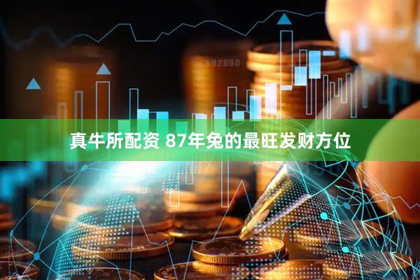 真牛所配资 87年兔的最旺发财方位