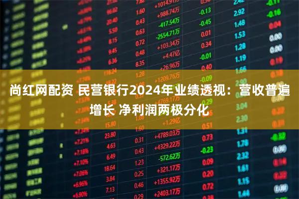 尚红网配资 民营银行2024年业绩透视：营收普遍增长 净利润两极分化